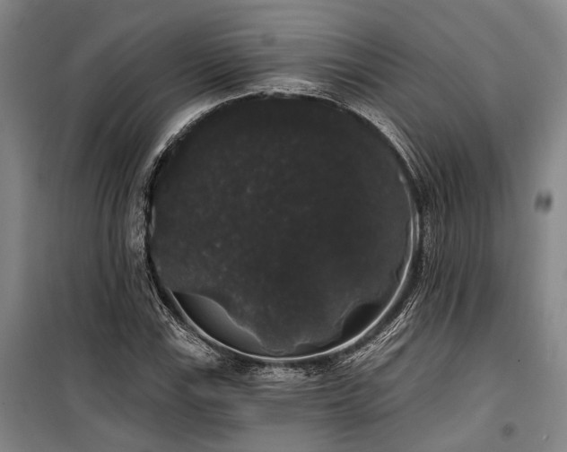 X0000100201115200805301304