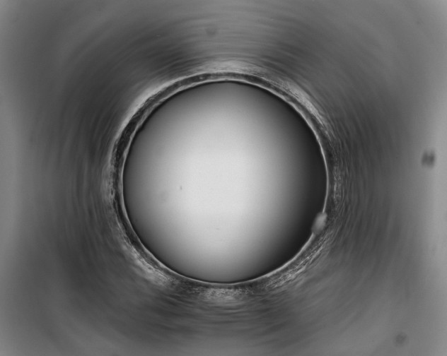 X0000100201116200805301304