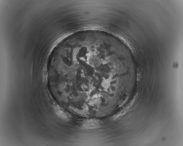 X0000100201117200805301304