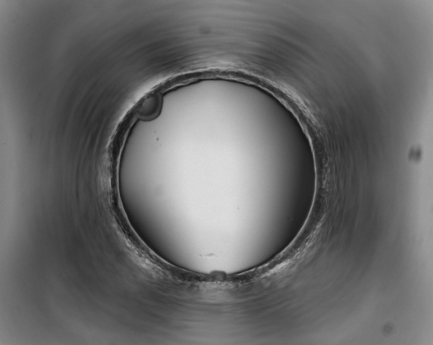 X0000100201118200805301304