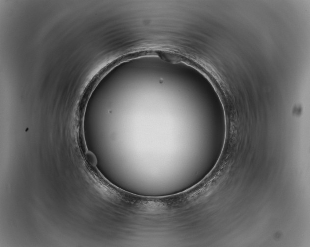 X0000100201119200805301304