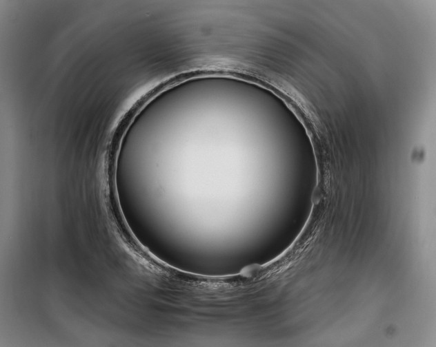 X0000100201120200805301304