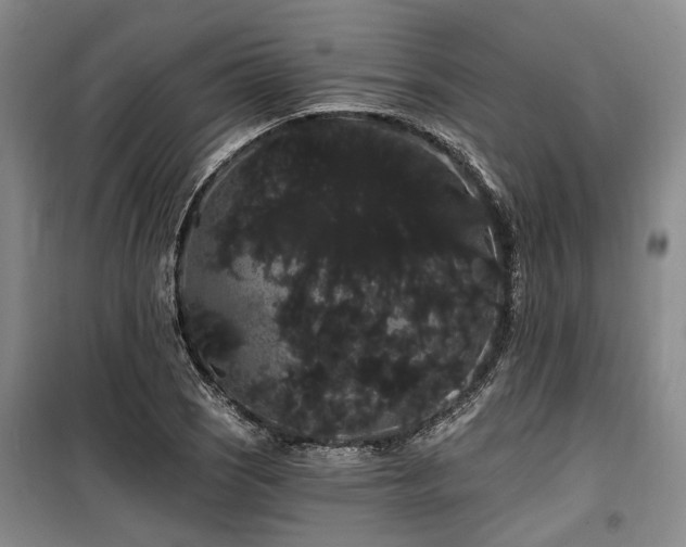 X0000100201121200805301304