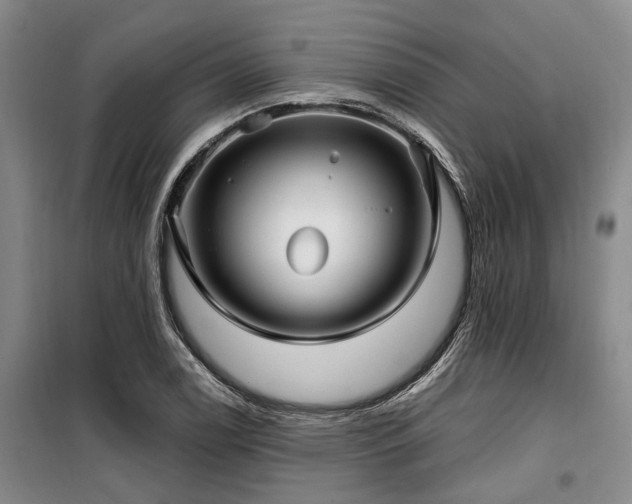 X0000100201122200805301304