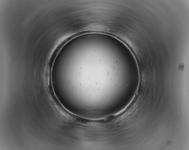 X0000100201123200805301304