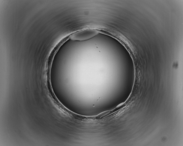 X0000100201124200805301304