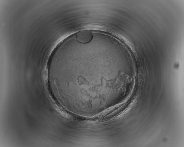 X0000100201125200805301304