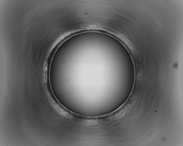 X0000100201126200805301304