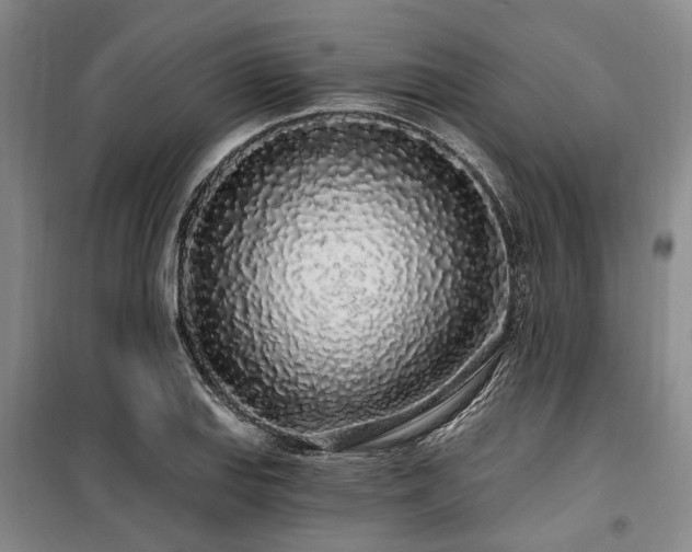 X0000100201127200805301304