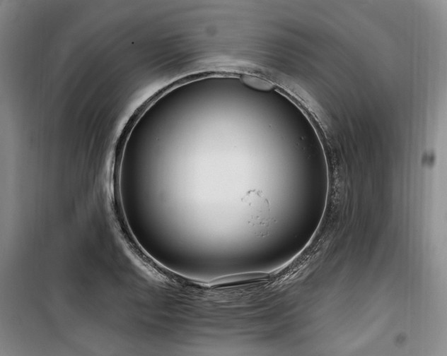 X0000100201128200805301304