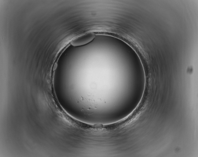 X0000100201129200805301304