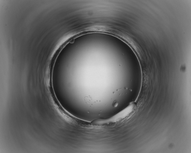 X0000100201131200805301304