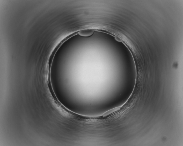 X0000100201132200805301304