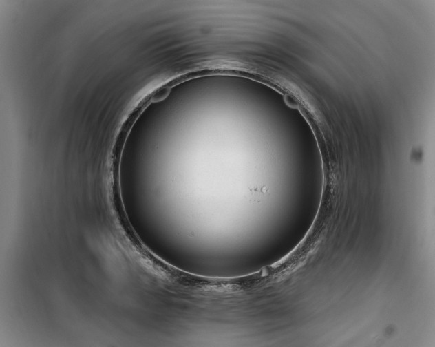 X0000100201133200805301304