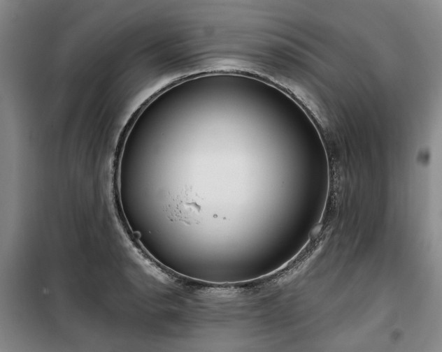 X0000100201134200805301304