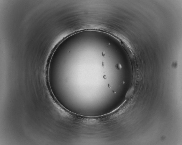 X0000100201135200805301304