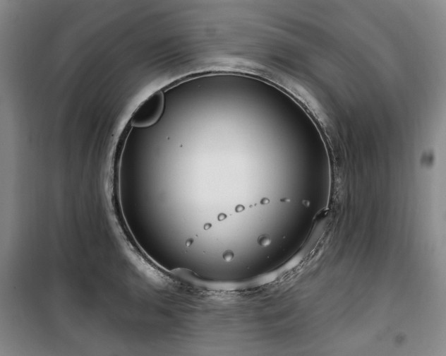 X0000100201136200805301304