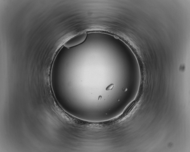 X0000100201137200805301304