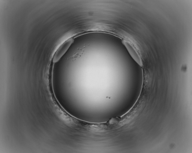 X0000100201138200805301304