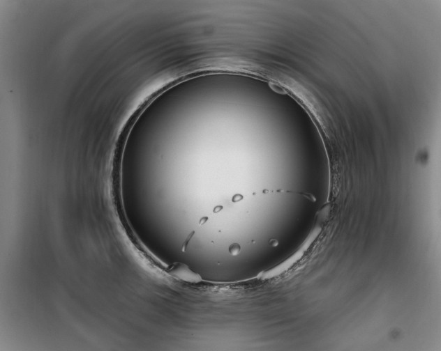 X0000100201139200805301304