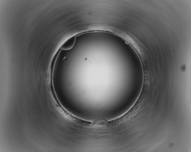 X0000100201140200805301304