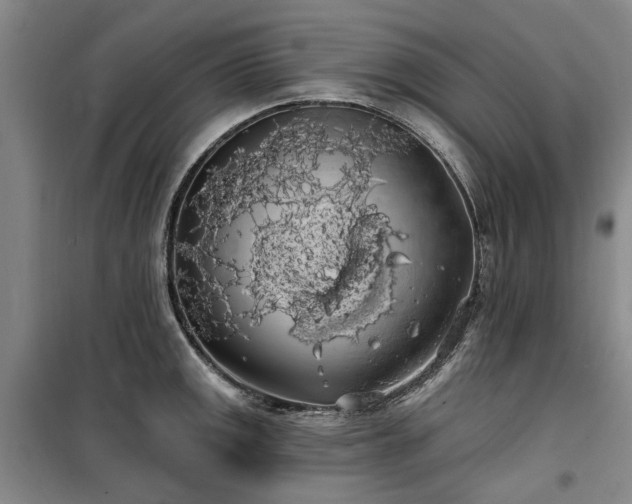 X0000100201141200805301304