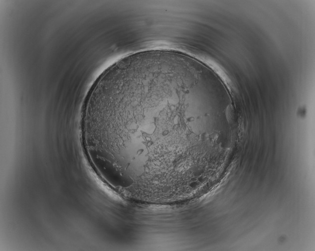 X0000100201142200805301304