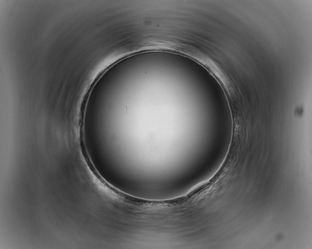 X0000100201143200805301304