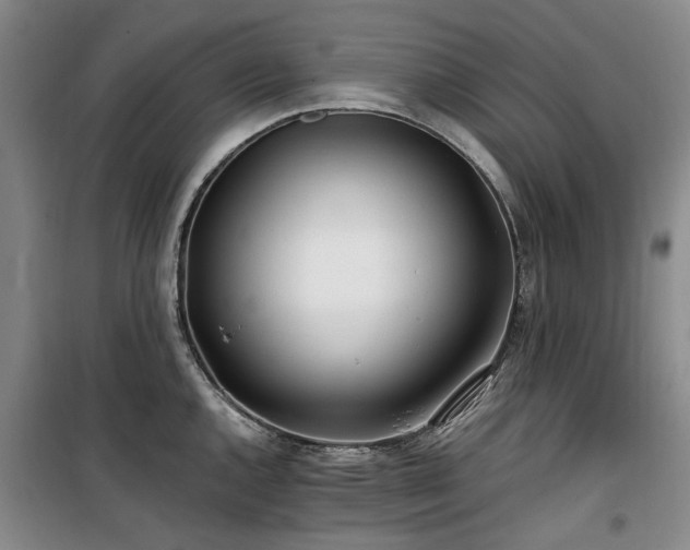 X0000100201144200805301304