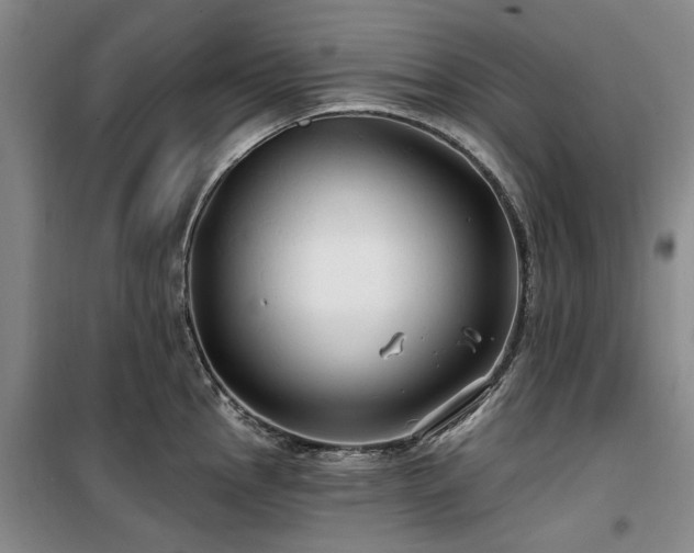 X0000100201145200805301304