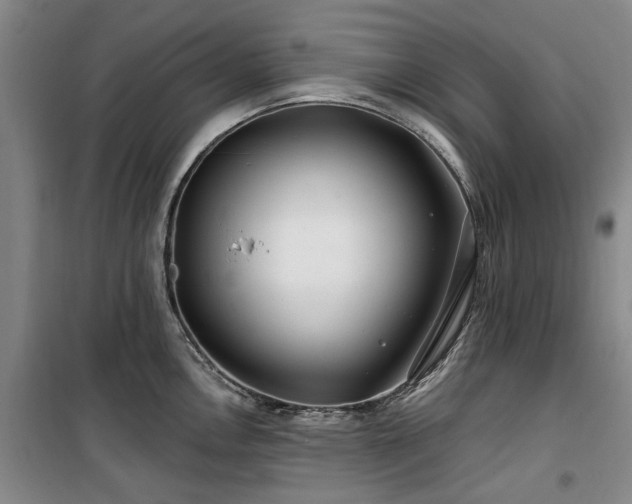 X0000100201146200805301304