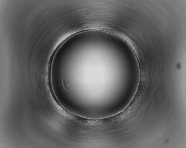 X0000100201147200805301304