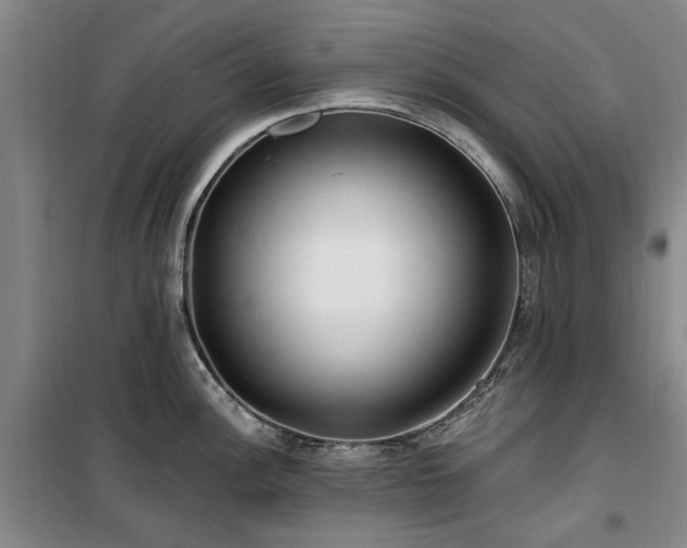 X0000100201148200805301304