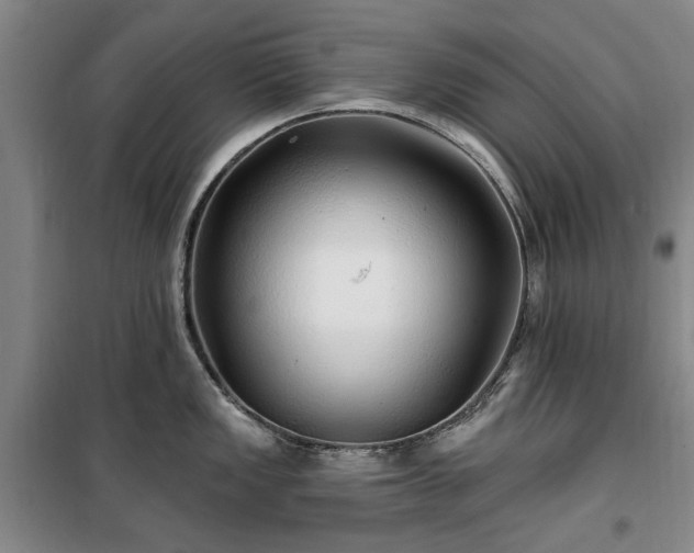 X0000100201149200805301304