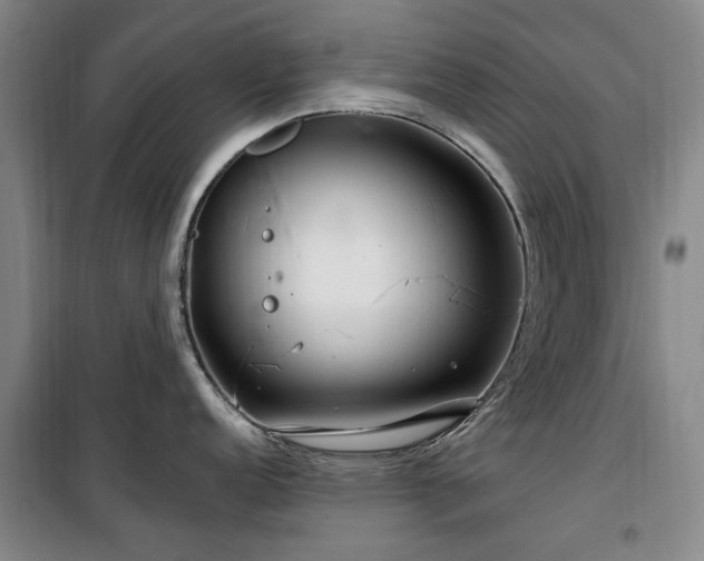 X0000100201152200805301304