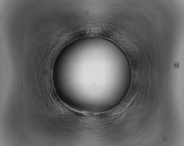 X0000100201153200805301303