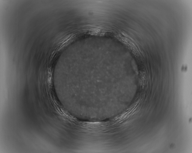 X0000100201154200805301303