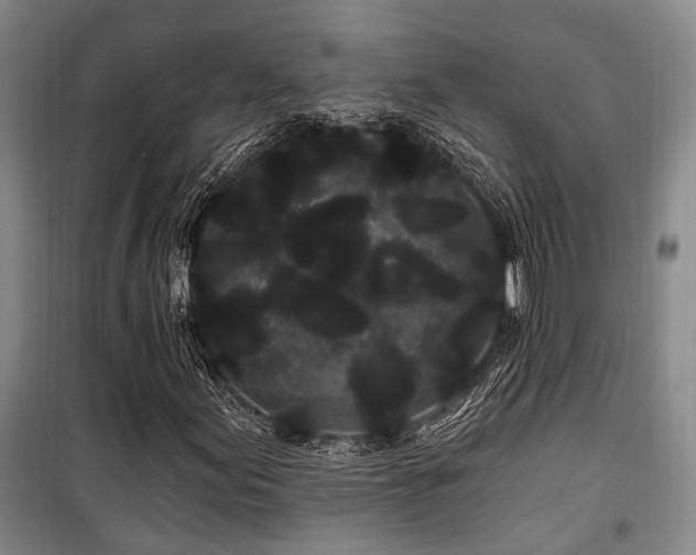 X0000100201155200805301303