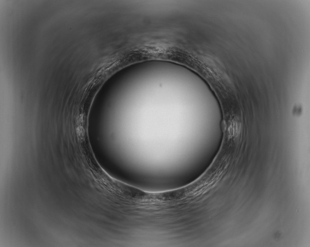 X0000100201156200805301303