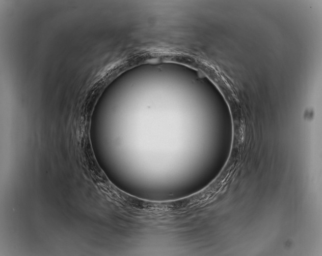 X0000100201157200805301303