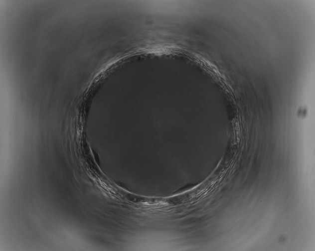 X0000100201158200805301303