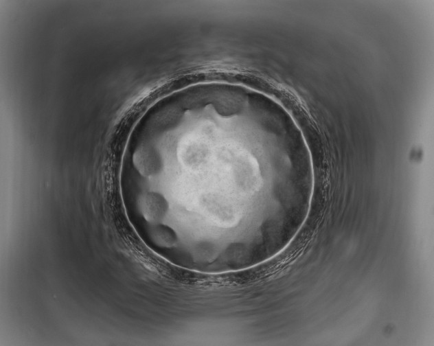 X0000100201159200805301303