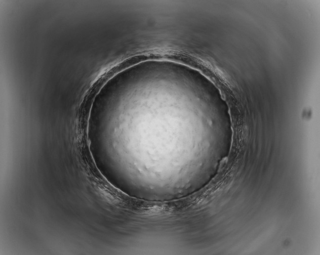 X0000100201160200805301303