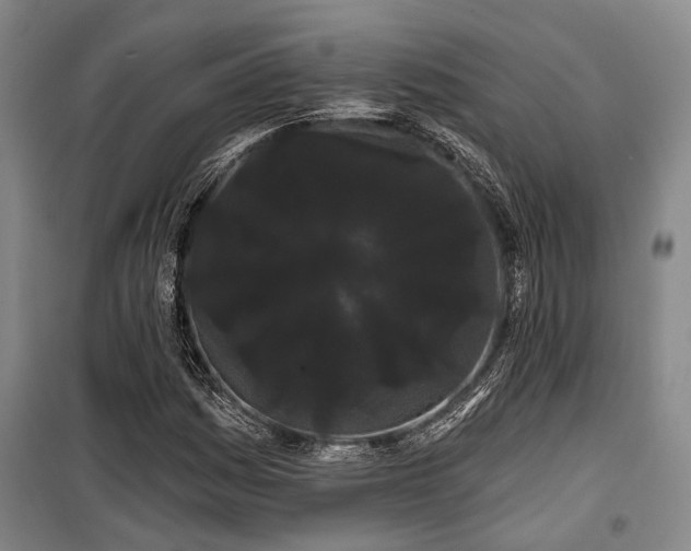 X0000100201161200805301303