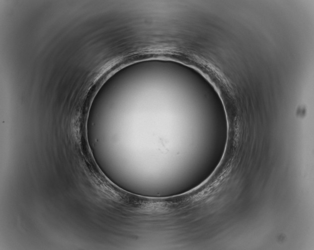 X0000100201162200805301303