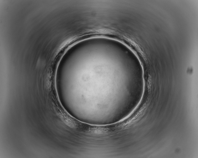 X0000100201163200805301303