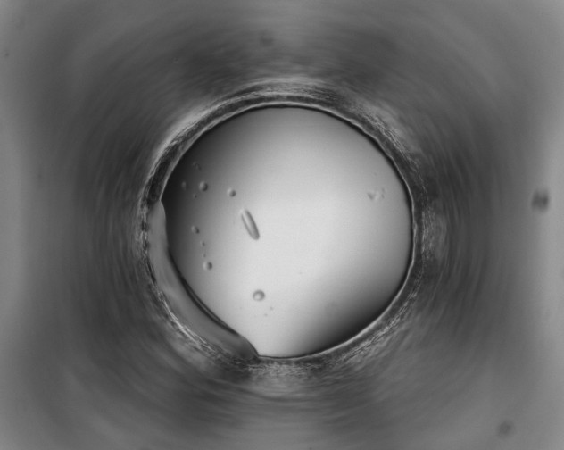 X0000100201164200805301303