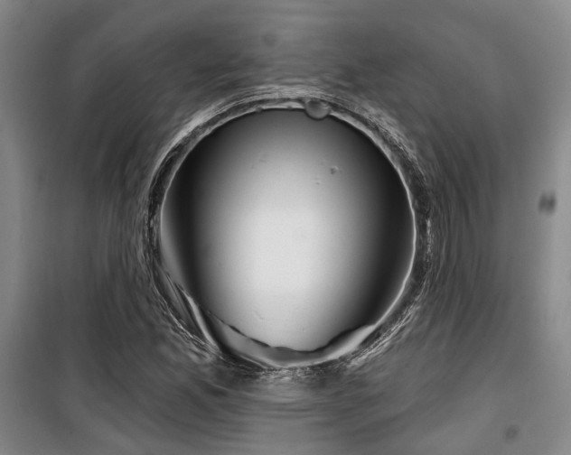 X0000100201165200805301303