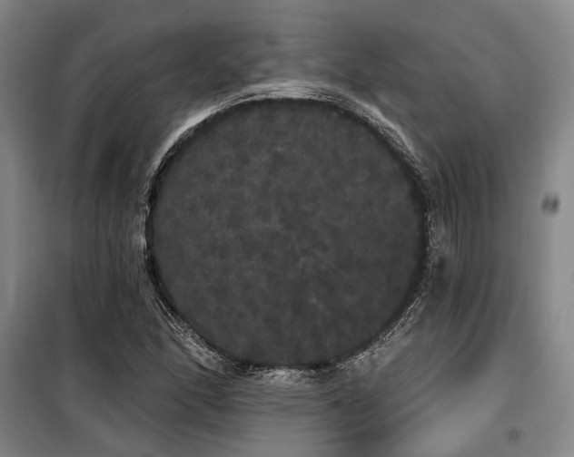 X0000100201166200805301303