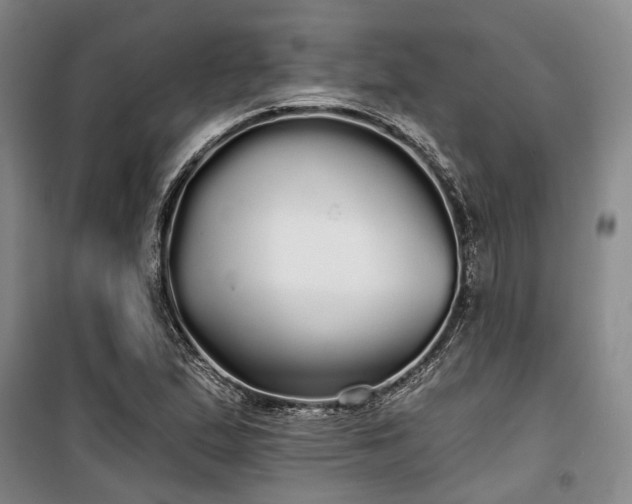 X0000100201167200805301303